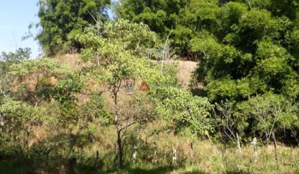 Terreno Área em Pindamonhangaba