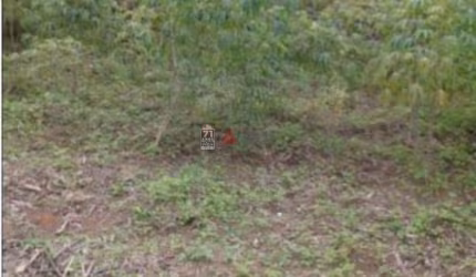 Terreno Padrão em São José dos Campos