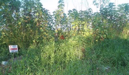 Terreno Padrão em Pindamonhangaba