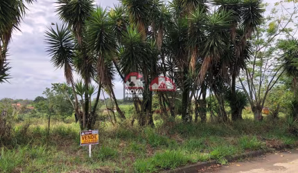 Terreno Padrão em Pindamonhangaba