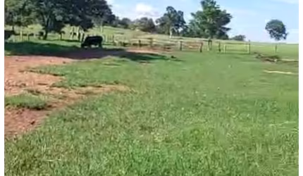 Linda Fazenda em mato Grosso,