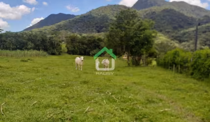 Chácara em Vila Nova  -  Joinville