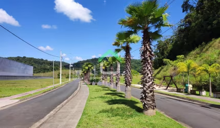 Lote / Terreno em Itinga  -  Araquari