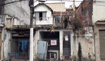 Lote / Terreno em Vila Dalila  -  São Paulo