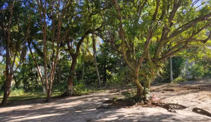 Terreno para Venda em Camaçari, Guarajuba