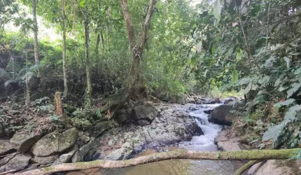 Chácara / sítio com 1 quarto à venda no Ribeirão Souto, Pomerode , 80 m2 por R$ 550.000