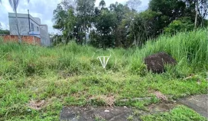 TERRENO EM ZIMBROS