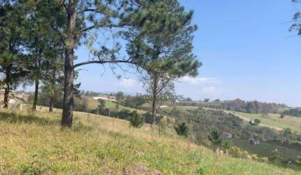 Terreno Residencial à venda, Ivoturucaia, Jundiaí - TE0565.