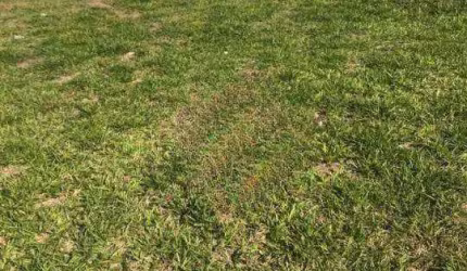 Terreno à venda, Jardim Novo Mundo, Jundiaí - SP