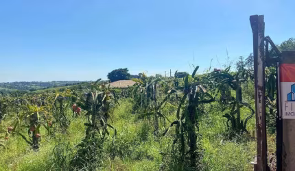 Chácara Residencial à venda, Reforma Agrária, Valinhos - CH0132.