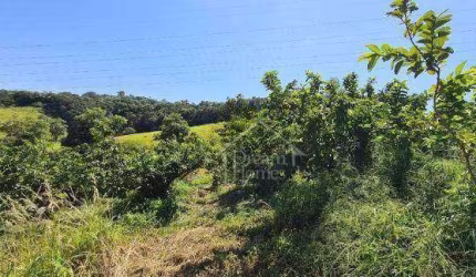Área Rural à venda, Morro das Pedras, Valinhos - AR0088.