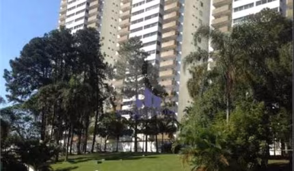 Apartamento com 3 quartos à venda em Cidade Dutra - SP