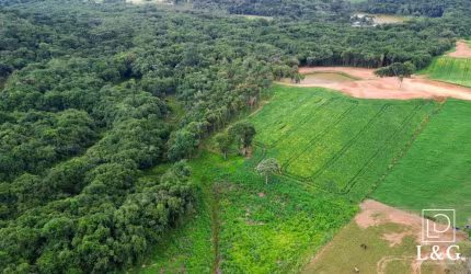 Terreno para Venda em Campo Alegre, Papanduvinha