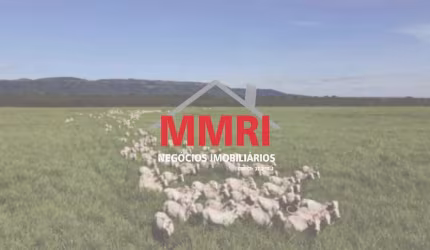 Fazenda à venda na Zona Rural, Goiatins 