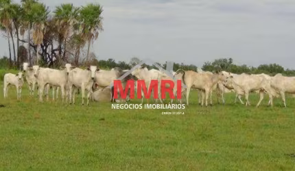 Fazenda à venda no Jardim Primavera, Sorriso 