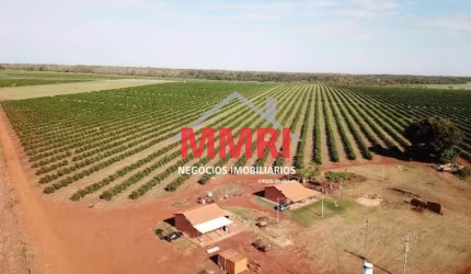 Fazenda à venda no Patrimônio Novo, Votuporanga , 158 m2 por R$ 27.000.000