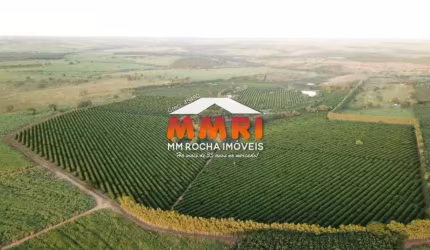Fazenda à venda no Centro, Marília 