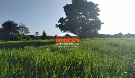 Fazenda de Pecuária em Alenquer/PA