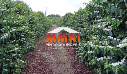 Fazenda de Café à venda em Luminárias/MG