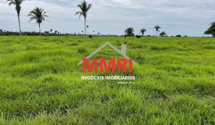 Fazenda à Venda na Região de Tocantins