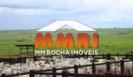 Fazenda para Pecuária proximo a Campo Grande/MT