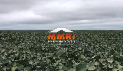 Fazenda para Agricultura entre Paricis e São José do Rio Claro/MT