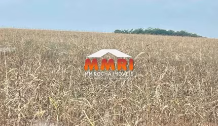 Fazenda de Lavoura em Mato Grosso