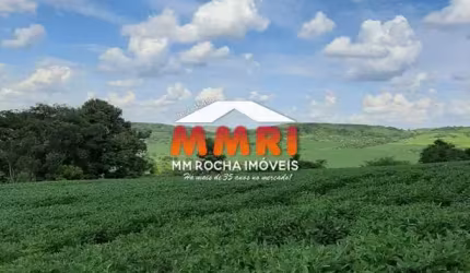 Fazenda à venda em Cornélio Procópio/PA