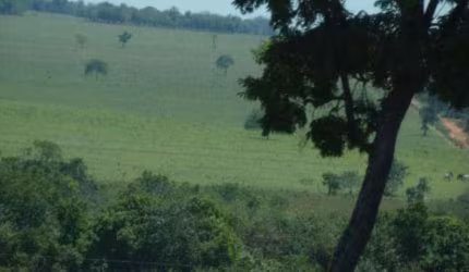 Fazenda à venda na Zona Rural, Paranatinga , 505 m2 por R$ 16.000.000
