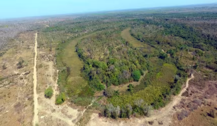 Fazenda à venda na Zona Rural, Poconé , 10900 m2 por R$ 16.350.000