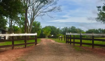 Fazenda à Venda em Presidente Prudente/SP