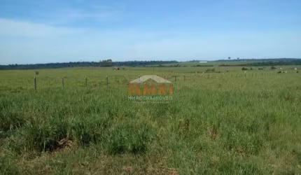 Fazenda, Zona Rural, Alvorada D'Oeste - R$ 30 mi, Cod: 3905