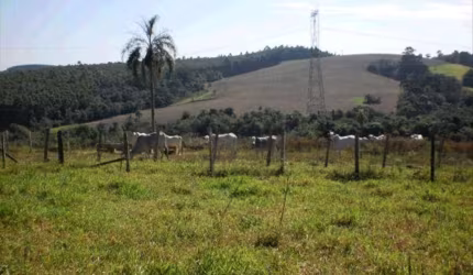 Sítio, ZONA RURAL, Pilar do Sul - Cod: 2791