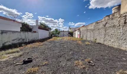 Visibilidade Garantida! Terreno Comercial no Martins, Oportunidade Única!