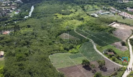 Propriedade com 33 Hectares a 1.300 metros da Via Local