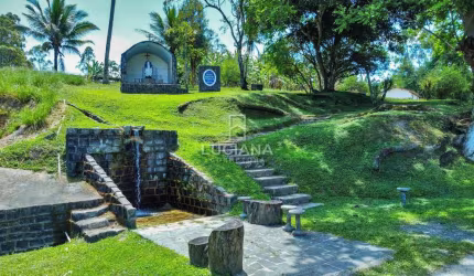 Incrível! Excelente Fazenda com + de 700 hectares - Barra de Guabiraba/PE!