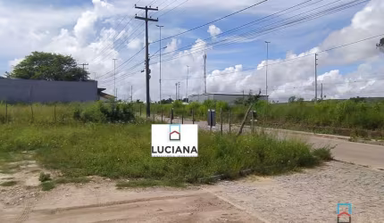 Terreno Beira de Pista em Gravatá-PE