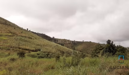 Venda de 38 hectares na Região de Chã Grande/Amaraji