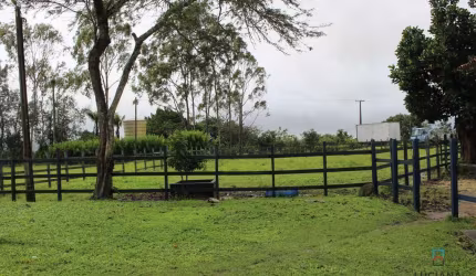 Propriedade com 220 hectares em Chã Grande