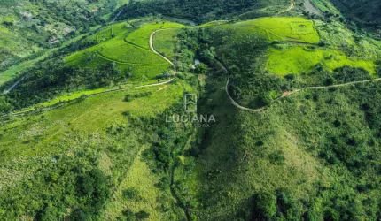 Excelente Propriedade! 70 Hectares e Bastante Água - Amaraji