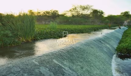 2 Hectares a 2 km da BR-232 para venda em Gravatá/Sairé