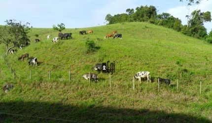 Sítio com 4 dormitórios à venda, 175000 m² por R$ 700.000,00 - Ewbank Da Camara - Ewbank da Câmara/MG