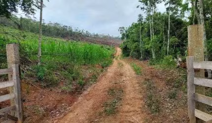 Sítio com 1 dormitório à venda, 140000 m² por R$ 370.000,00 - Valadares - Juiz de Fora/MG