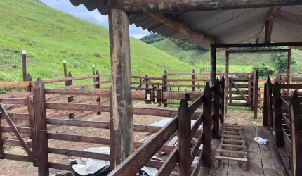 Fazenda com 4 dormitórios à venda, 700000 m² por R$ 1.450.000,00 - Centro - Juiz de Fora/MG