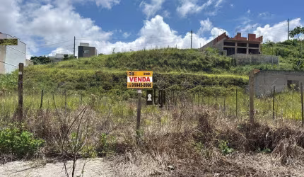 Terreno à venda, 332 m² por R$ 99.000,00 - Grama - Juiz de Fora/MG