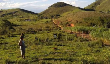 Terreno à venda, 1750 m² por R$ 100.000,00 - Chacara - Chácara/MG