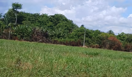 Lote de chácara