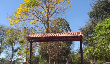 Lindo sitio