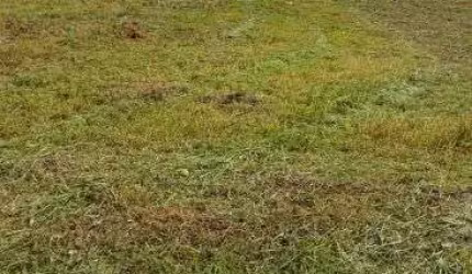 TERRENO EM CONDOMÍNIO EM ITUPEVA/SP - GRAN VILLE SÃO VENÂNCIO - LEVE DECLIVE