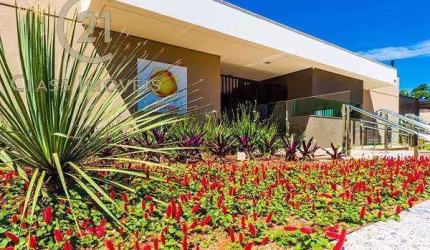 Apartamento à venda e para alugar em Londrina, Aurora, com 3 quartos, com 71 m², Solar Alta Vista